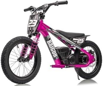 250W Electric Dirt Bike for Kids 8-12, Shock-Absorbing Front Fork, El…