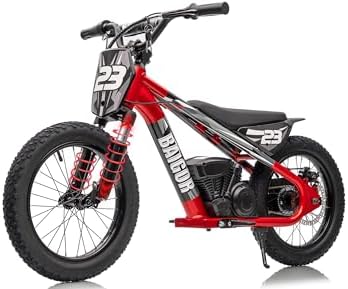 250W Electric Dirt Bike for Kids 8-12, Shock-Absorbing Front Fork, El…