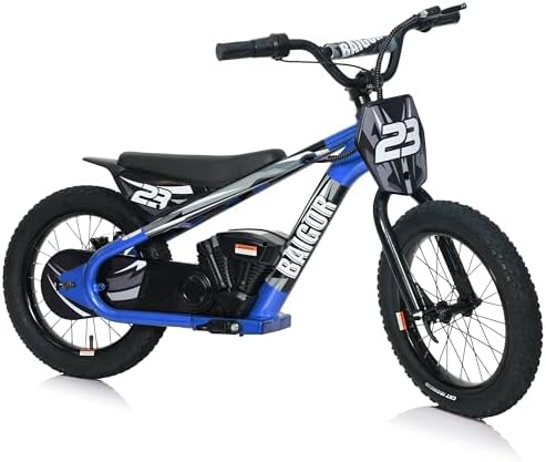 250W Electric Dirt Bike for Kids 8-12, Standard Front Fork